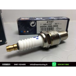 BERU Industrial Z147 Candela  Accensione Platino 14R-4 CDP 0004.350.900-0004360900